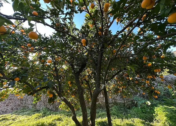 In Portugal Fornos de Algodres